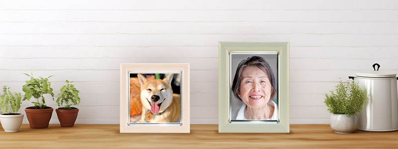 使用イメージ