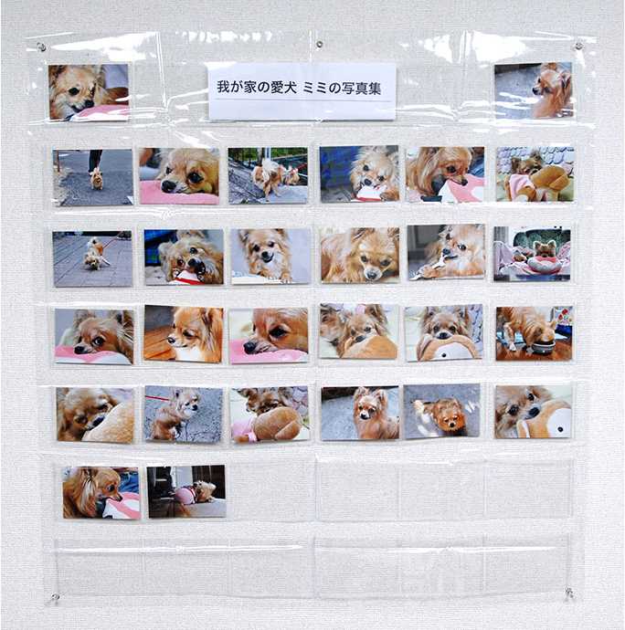  使用イメージ
