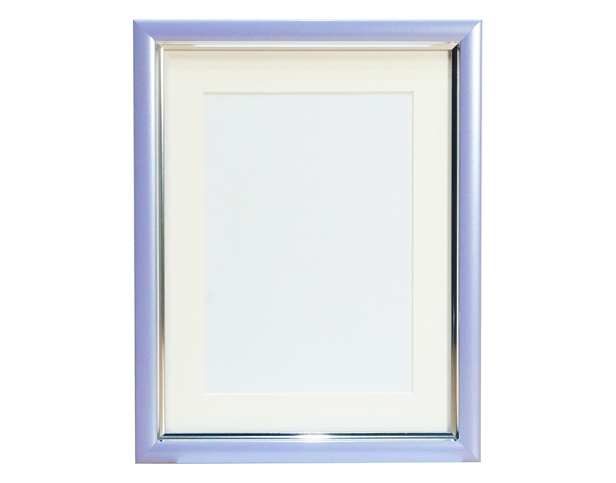 107-571 パープル[VSC-2L-PU]