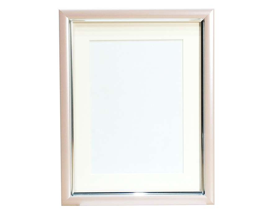 107-572 ピンク[VSC-2L-PK]